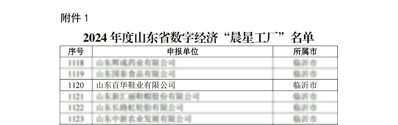 關于公布2024年度山東省數(shù)字經(jīng)濟“晨星工廠”名單的通知_02