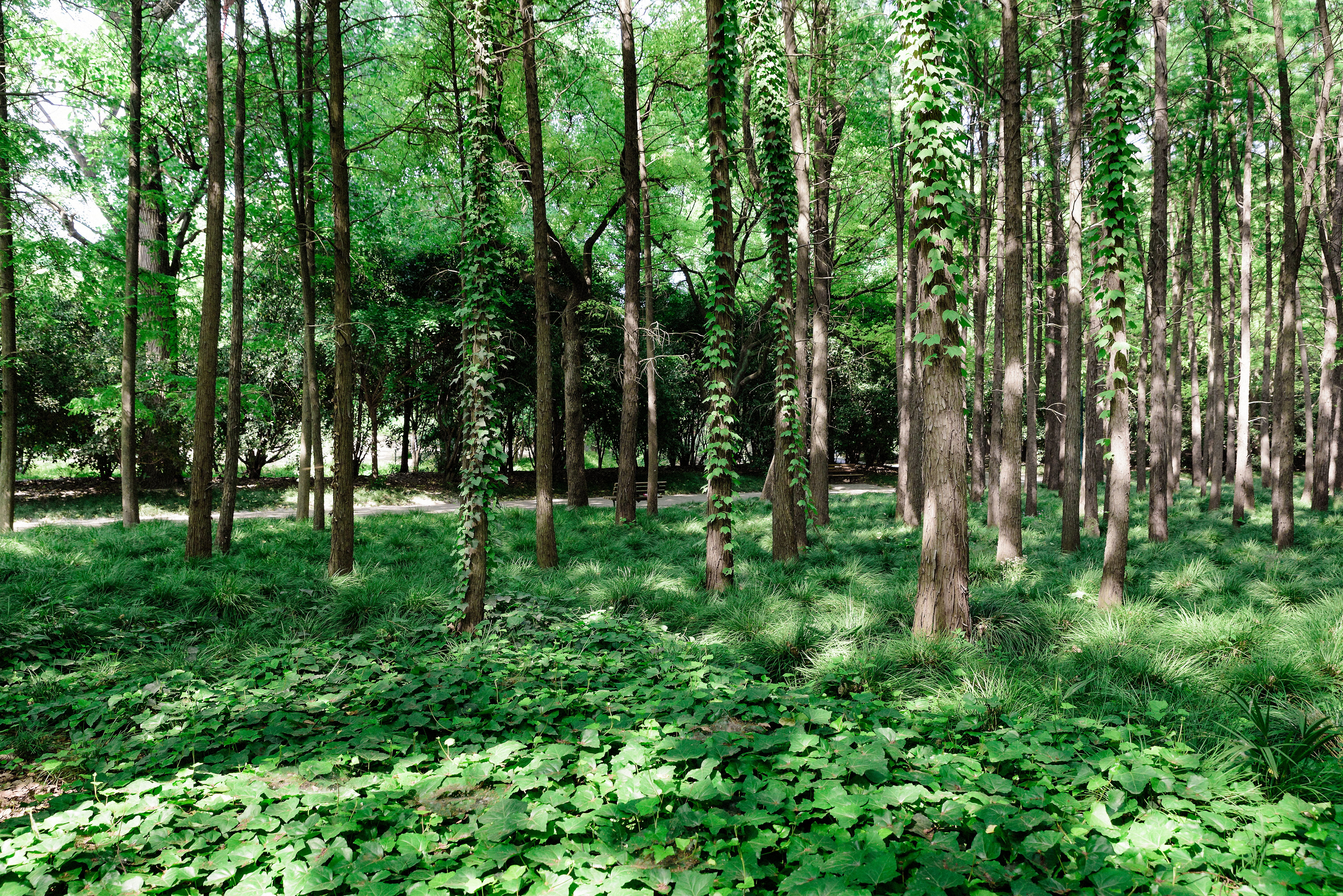 林業(yè)穿什么勞保鞋比較好，從事勞保防護(hù)用品十年人員表示：必須有這幾款！