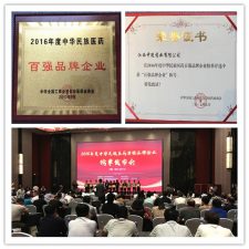 中進(jìn)藥業(yè)榮獲2016年度中華民族醫(yī)藥百強品牌企業(yè)榜單