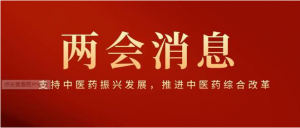 2023兩會(huì)“藥點(diǎn)”來了！政府工作報(bào)告：推進(jìn)藥品集采、中醫(yī)藥創(chuàng)新、急需藥進(jìn)保……